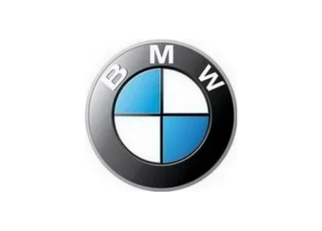 Болт M12x1.25x45 E70 BMW 31206872920