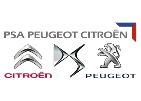Фара протитуманна Peugeot/Citroen 6208X5