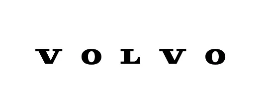 Ролік v8 (2 на авто) VOLVO 31216198