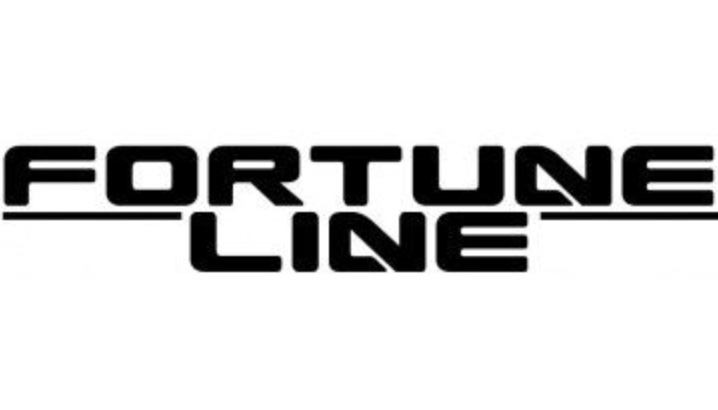 Подушка стабілізатора FORTUNA LINE FZ91688