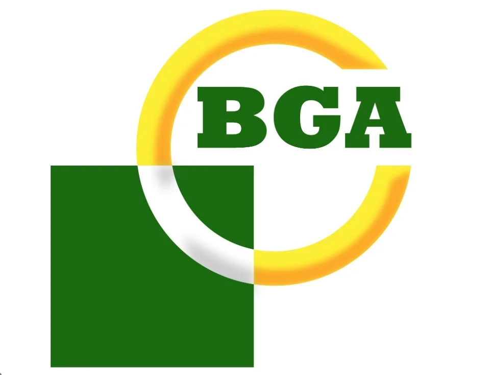 Набір прокладок, головка цилиндра BGA HN5399