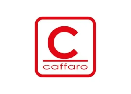 Паразитний ролик поликлинового ременя CAFFARO 500479
