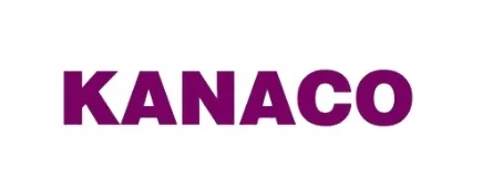 Ремкомплект шкворня KANACO H31005