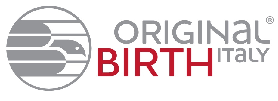 Original - Опора КПП BIRTH 53361