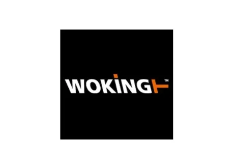 Гальмівний диск WOKING D6104720