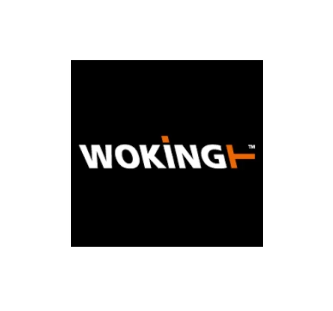 Гальмівні колодки, дискове гальмо (набір) WOKING P296310