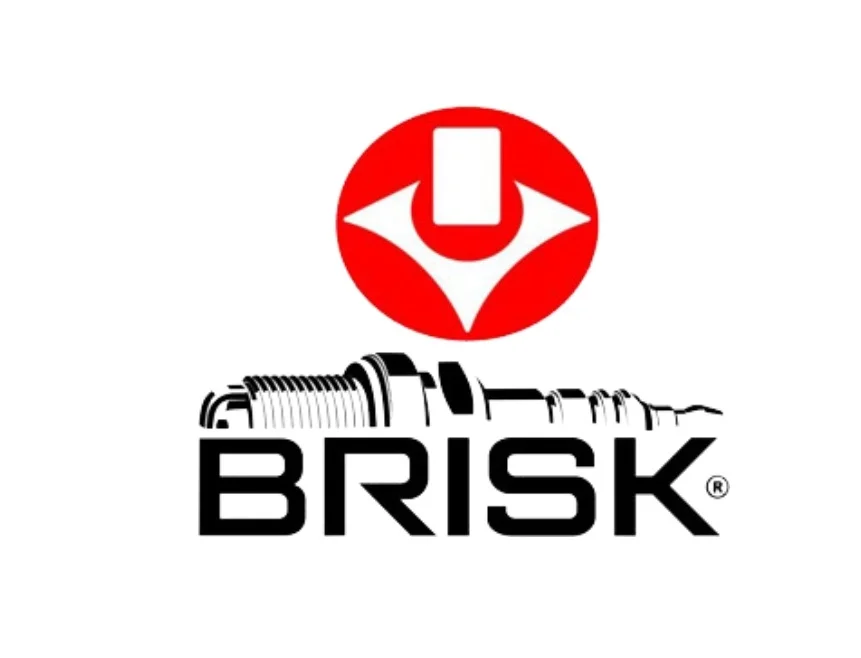 Свічка запалення BRISK DR17YPP1