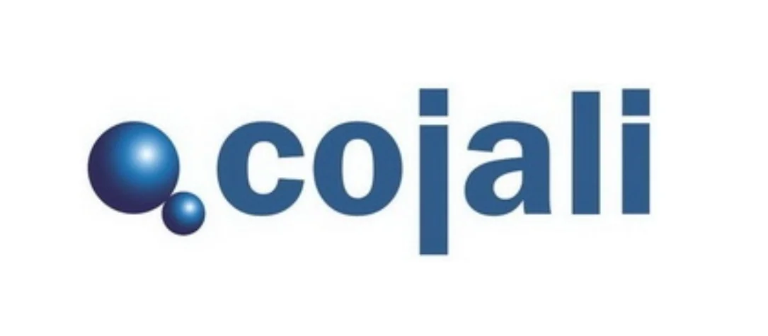 Датчик COJALI 2261185