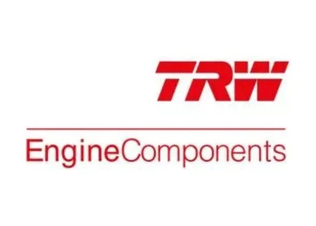 Направляюча клапана TRW Engine Components 8176003