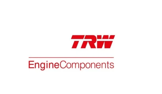 Клапан впуск TRW Engine Components 539044