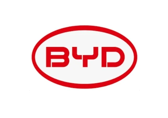 Пильовик BYD F31100101