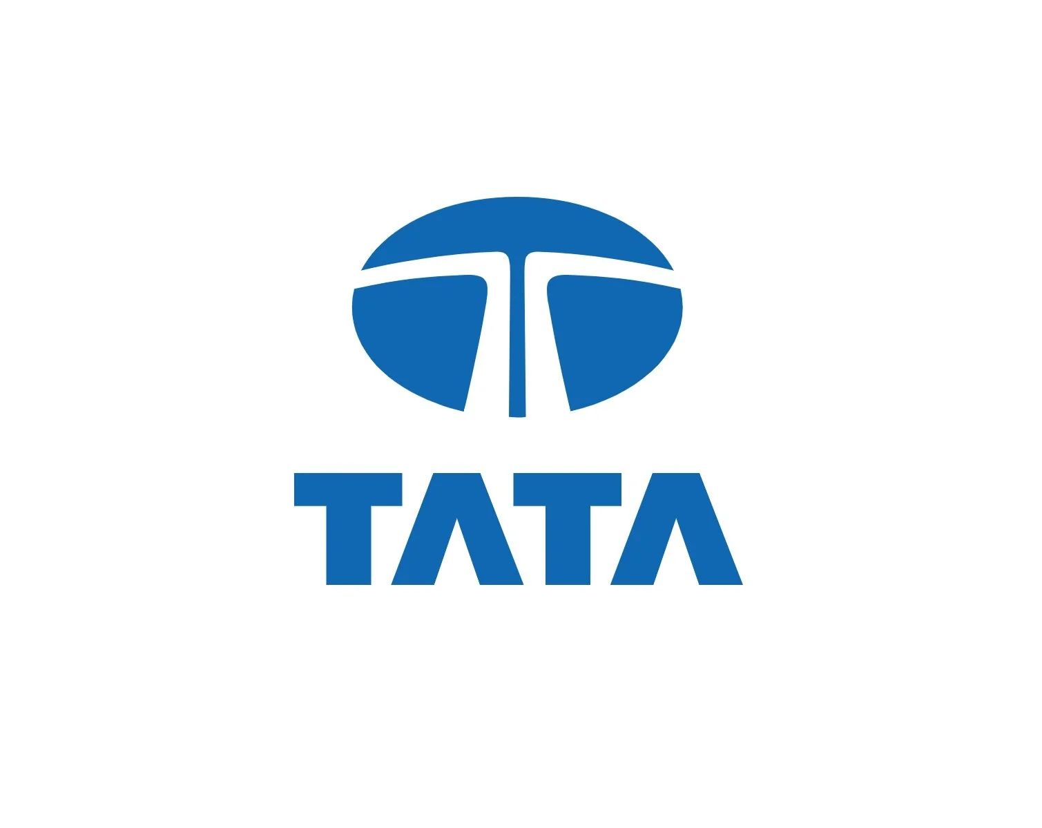 Бризговик передній внутрішній лівий TATA 264189106310