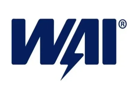 Обмотка генератора WAI 278323