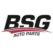 BSG