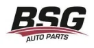 BSG