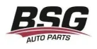BSG