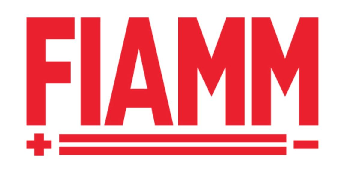 Запчастини FIAMM