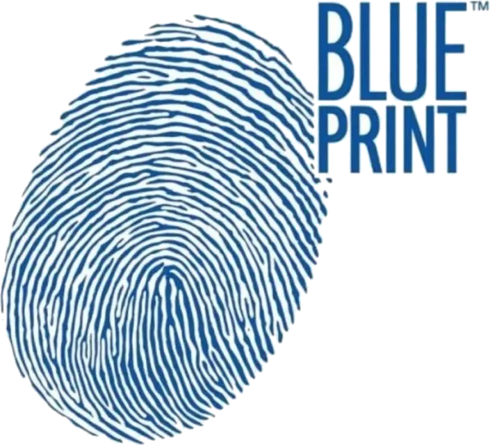 BLUE PRINT