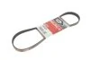 Пасок поліклиновий Chevrolet Lanos 04- Daewoo Nexia 95- Ford Focus II 08-11, Mondeo I 93-96/ II 96-00 Mitsubishi Lancer (CB) 92-96 Opel Astra G 98-05 Subaru Legacy (B13) 03-09 GATES 5PK870 (фото 1)
