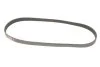 Пасок поліклиновий Chevrolet Lanos 04- Daewoo Nexia 95- Ford Focus II 08-11, Mondeo I 93-96/ II 96-00 Mitsubishi Lancer (CB) 92-96 Opel Astra G 98-05 Subaru Legacy (B13) 03-09 GATES 5PK870 (фото 5)