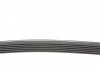 Пасок поліклиновий Audi 100 1.9-2.3 -90/ 80 2.3 -94// Hyundai H-1 2.5D 97-, H100 2.5D 93-00// Mazda 626 2.0D -96// Mitsubishi Pagero -00 DAYCO 6PK923 (фото 2)