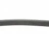 Пасок поліклиновий Audi 100 1.9-2.3 -90/ 80 2.3 -94// Hyundai H-1 2.5D 97-, H100 2.5D 93-00// Mazda 626 2.0D -96// Mitsubishi Pagero -00 DAYCO 6PK923 (фото 2)