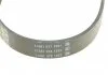 Пасок поліклиновий Audi 100 1.9-2.3 -90/ 80 2.3 -94// Hyundai H-1 2.5D 97-, H100 2.5D 93-00// Mazda 626 2.0D -96// Mitsubishi Pagero -00 DAYCO 6PK923 (фото 3)