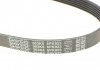 Пасок поліклиновий Audi 100 1.9-2.3 -90/ 80 2.3 -94// Hyundai H-1 2.5D 97-, H100 2.5D 93-00// Mazda 626 2.0D -96// Mitsubishi Pagero -00 DAYCO 6PK923 (фото 4)