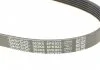 Пасок поліклиновий Audi 100 1.9-2.3 -90/ 80 2.3 -94// Hyundai H-1 2.5D 97-, H100 2.5D 93-00// Mazda 626 2.0D -96// Mitsubishi Pagero -00 DAYCO 6PK923 (фото 4)