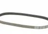 Пасок поліклиновий Audi 100 1.9-2.3 -90/ 80 2.3 -94// Hyundai H-1 2.5D 97-, H100 2.5D 93-00// Mazda 626 2.0D -96// Mitsubishi Pagero -00 DAYCO 6PK923 (фото 5)
