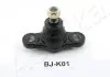 Кульова опора перед. ниж. Hyundai Elantra 2/06-, i30 10/07- KIA Ceed 12/06-, Pro Ceed 2/08-, Magentis 11/05- ASHIKA 730KK01 (фото 1)