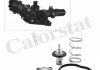Термостат MB W176/Citan/ Renault Clio/Kangoo/Megane 1.5 D/dCI/Cdi 09- (83C) CALORSTAT BY VERNET TH9276.83J (фото 1)