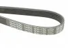 Ремень поликлин. (пр-во) DAYCO 5PK1125 (фото 4)