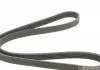 Ремень поликлин. (пр-во) DAYCO 5PK1125 (фото 5)