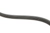 Комплект ремня генератора Kangoo/Logan/Sandero 1.4/1.6i 97- (5PK1110) RENAULT 7701477522 (фото 4)