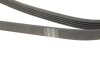 Комплект ремня генератора Kangoo/Logan/Sandero 1.4/1.6i 97- (5PK1110) RENAULT 7701477522 (фото 5)