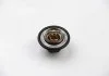 Термостат Duster/Logan/Clio/Kangoo/Megane I, II, III 1,4/1.6/2.0i 98- (88 C) ASAM 30403 (фото 1)