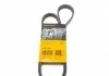 Ремень генератора Berlingo/Partner 1.1/1.4/1.6i 97> (PS,+AC) CONTITECH 5PK1250 (фото 1)