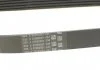 Ремень генератора 6PK691 Sprinter/Vito (639) 3.0CDI 07- (AC) CONTITECH 6PK691 ELAST (фото 3)