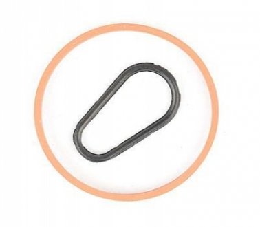 Прокладка вакуумного насоса Focus III/Fiesta VI/VII/Connect 1.5/1.6TDCI 08- (к-кт) BSG BSG 30235008