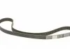 Пасок ГРМ Chevrolet Captiva/Opel Antara/Frontera/Omega B/Sintra 2.2/2.4 16V 95- CONTITECH CT924 (фото 4)
