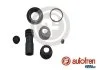 Ремкомпл. супорта зад Vito >99 (33mm)(ATE)(повний к-кт) SEINSA AUTOFREN D4142