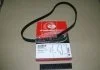 Пасок ГРМ VW Caddy, Golf, Polo Skoda Octavia Seat Cordoba 1,6 55kw10.94-10.99 GATES 5428XS (фото 2)