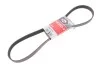 Ремень генератора Jumper/Boxer/Ducato 2.0/2.2 HDi 02- GATES 6PK1173 (фото 2)