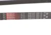 Ремень генератора Jumper/Boxer/Ducato 2.0/2.2 HDi 02- GATES 6PK1173 (фото 4)
