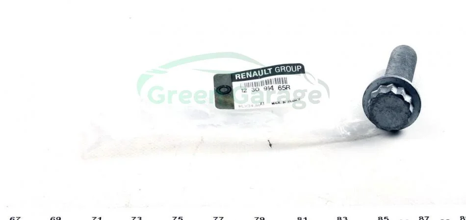 Болт кулачкового валу RENAULT 123091465R (фото 1)