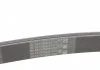 Ремень генератора W201 OM602/Sprinter OM601 (PS) CONTITECH 6PK2030 (фото 3)