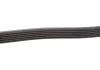 Ремень генератора OM601/602 (-PS)/Polo/Fabia 1.4TDI GATES 6PK1000 (фото 3)