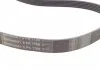 Ремень генератора MB W202/203/VW/Audi 2.4/2.8i CONTITECH 6PK1760 (фото 2)