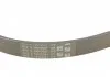 Полікліновий ремінь TOYOTA RAV 4 I 2.0 4WD (Вир-во Contitech) CONTITECH 5PK1090 (фото 4)